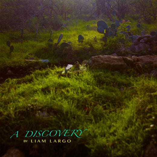 Liam Largo - 'A Glimpse' [Ringtone]