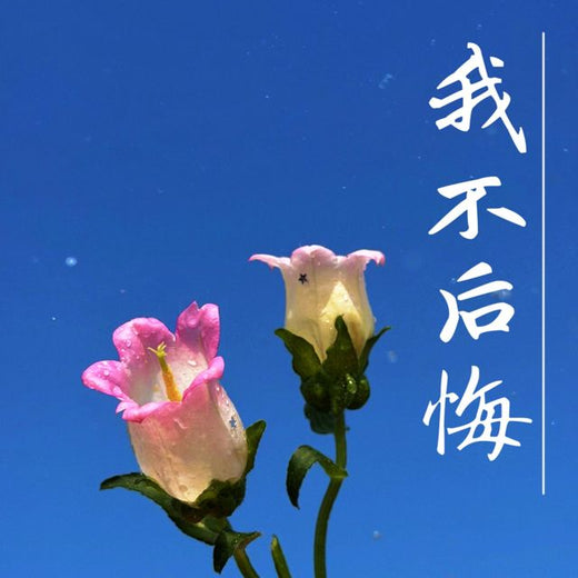梨子芹菜 - '我不后悔 (烟嗓版)' [Ringtone]