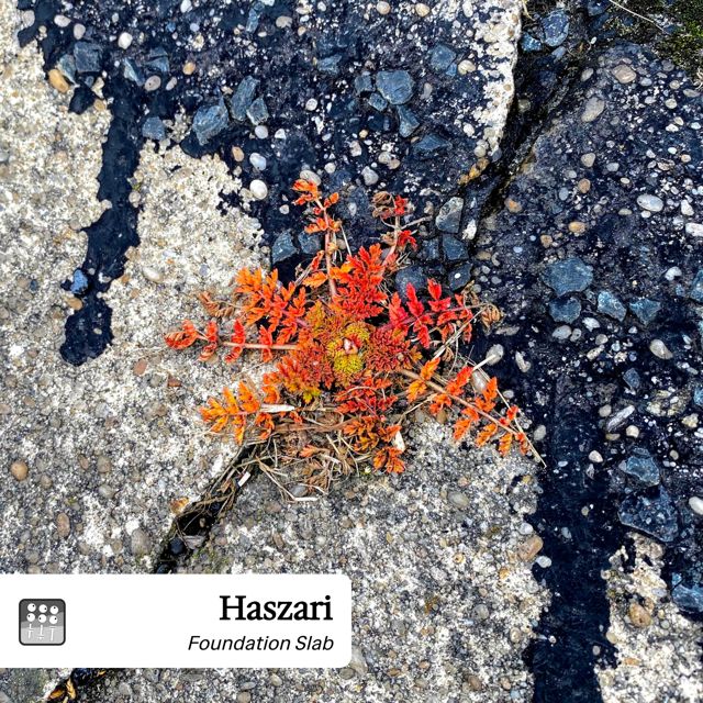 Haszari - 'Foundation Slab (In By Christmas)' [Ringtone]