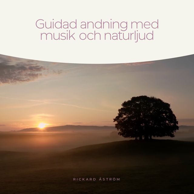 Rickard Åström - 'Bambu: Andningsövningar för att stressa ner (feat. Kaori Astrom)' [Ringtone]