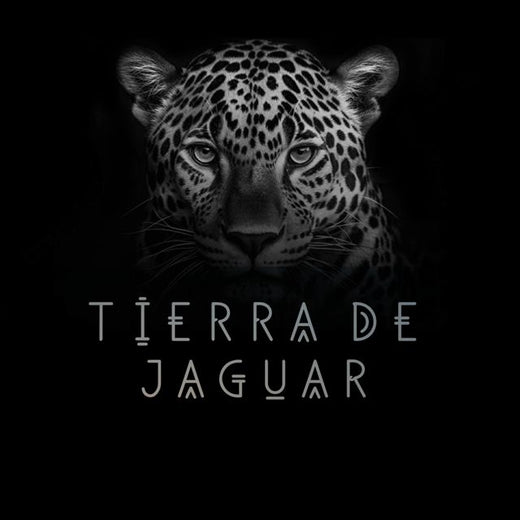 Cesar galarza - 'Tierra de Jaguar' [Ringtone]