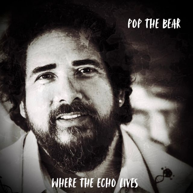 Pop the Bear - 'Empty Spaces' [Ringtone]