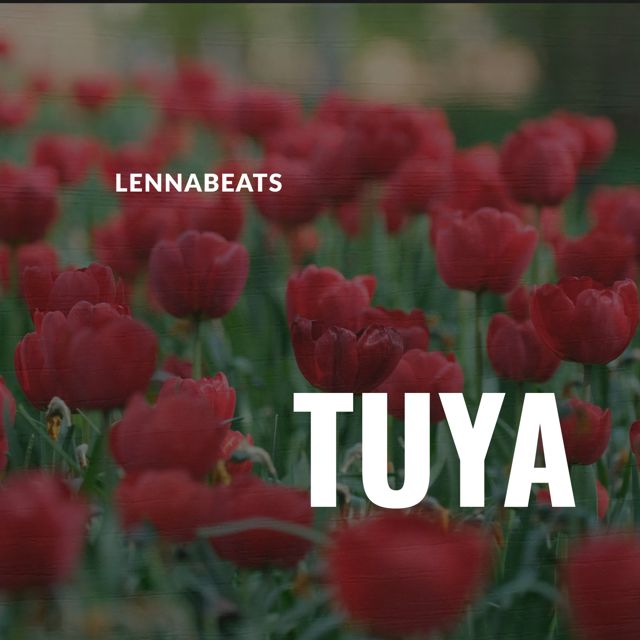 Lennabeats - 'Tuya' [Ringtone]
