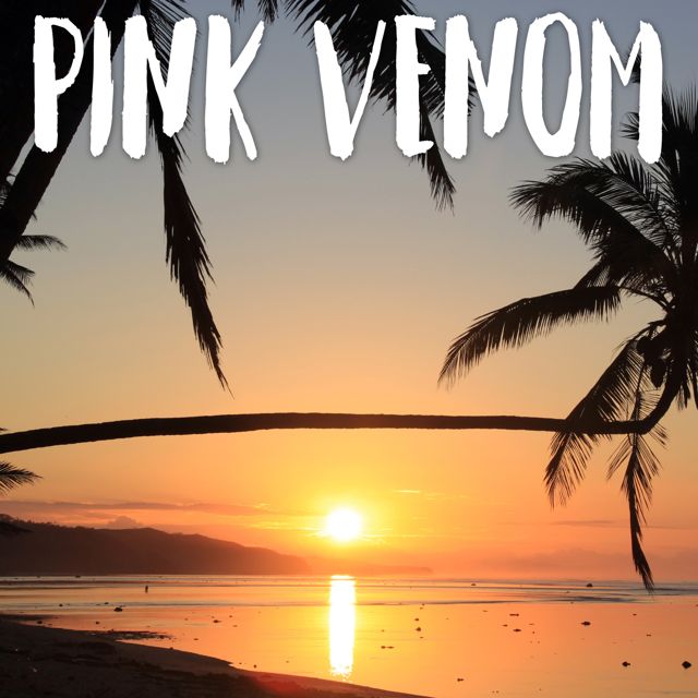Tropical Jawns - 'Pink Venom (Marimba)' [Ringtone]