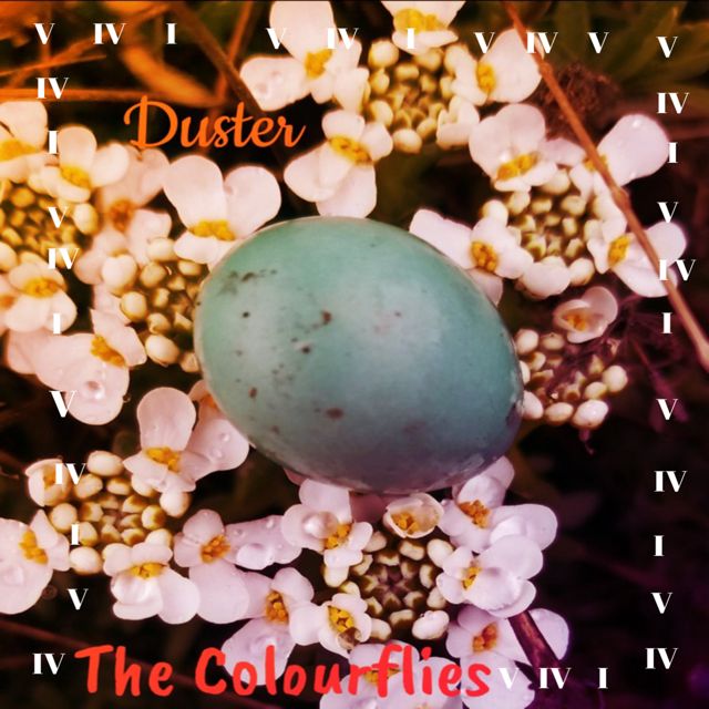 The Colourflies - 'Down' [Ringtone]