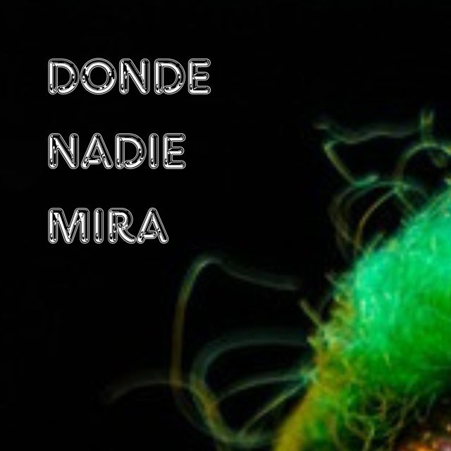 CHARPI MC - 'Donde nadie mira' [Ringtone]