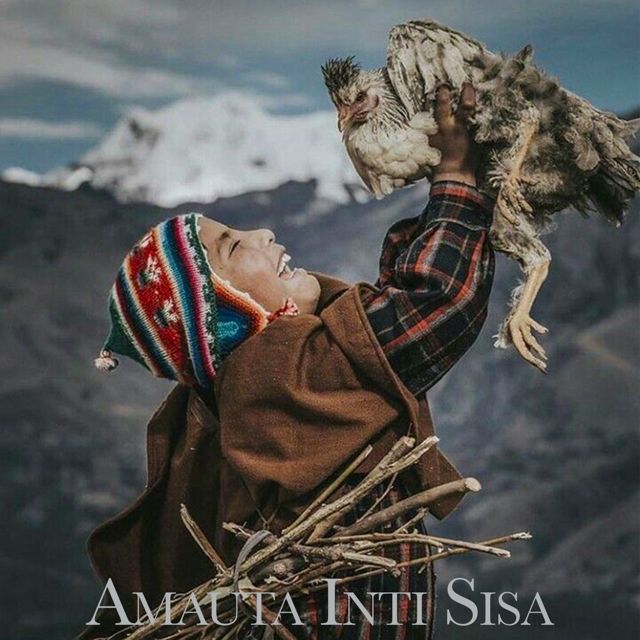 Music festival Andina - 'AMAUTA Inti Sisa' [Ringtone]
