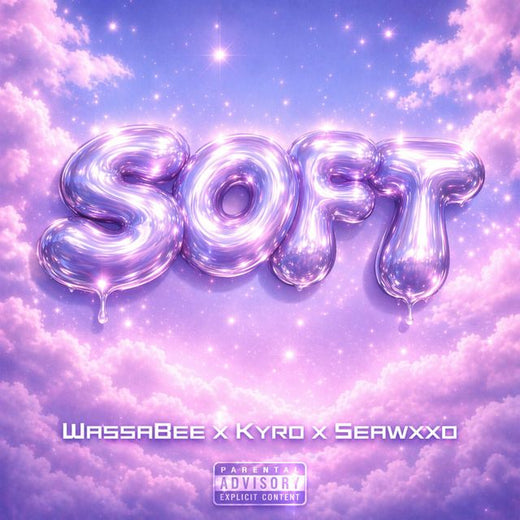 WassaBeethedj - 'SOFT (feat. Kyro & seawxxd)' [Ringtone]