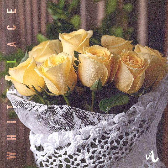 Arctic Wave - 'White Lace' [Ringtone]