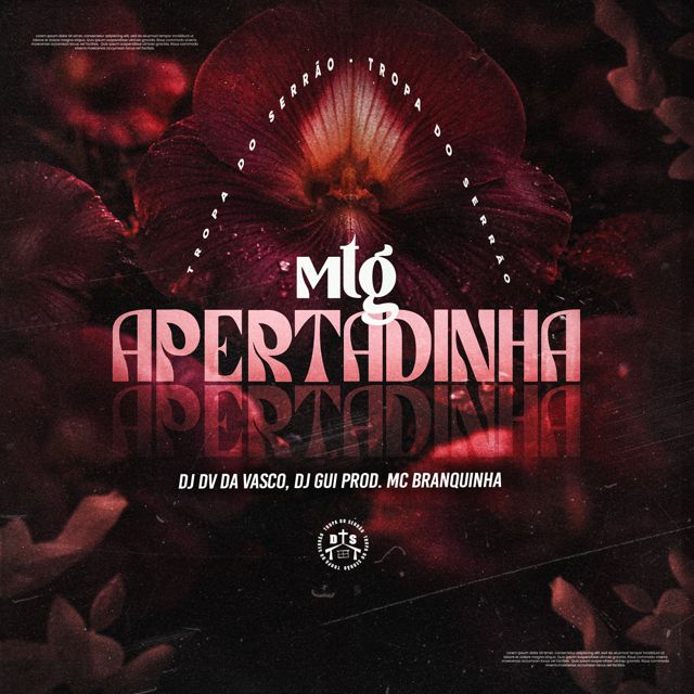 DJ DV DA VASCO - 'MTG - Apertadinha (feat. DJ GUI PROD & Mc Branquinha)' [Ringtone]
