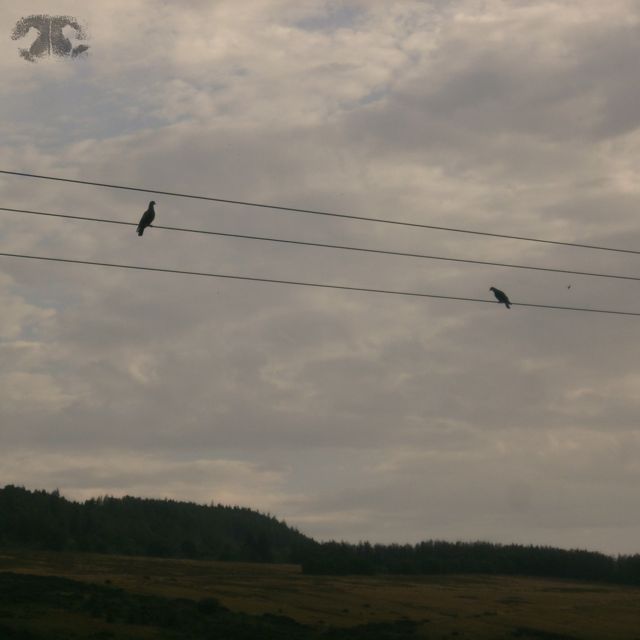 choosing sleep - 'mistakes (feat. Envacity)' [Ringtone]
