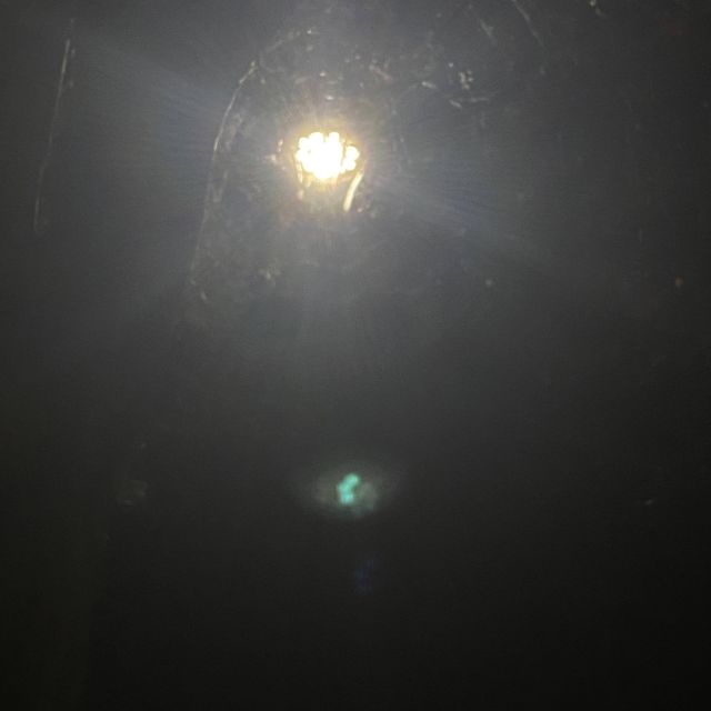 Zee !! - 'homicide' [Ringtone]