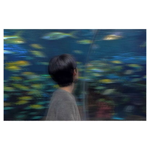 Jae Kim - 'Lullaby' [Ringtone]