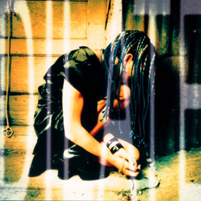 Ani DiFranco - 'Shameless' [Ringtone]
