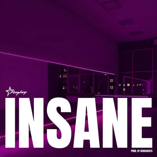 Pengboy - 'INSANE' [Ringtone]