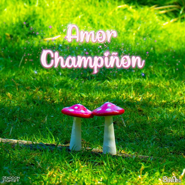 Dragoon Fighter - 'Amor Champiñon' [Ringtone]