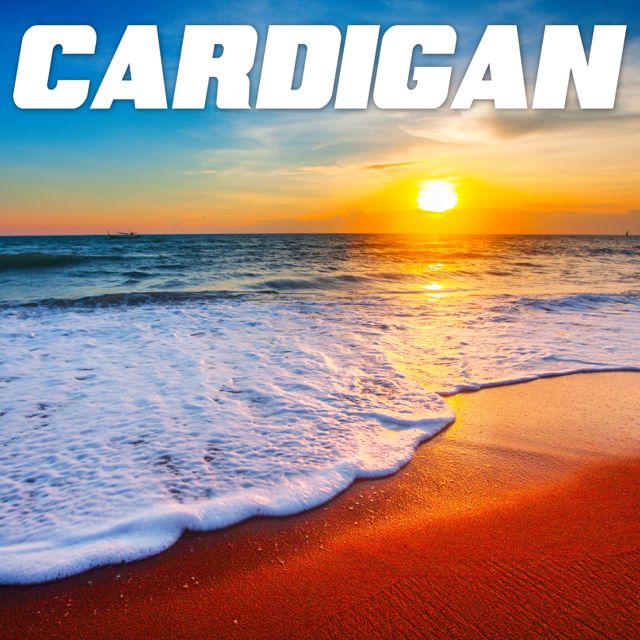 Tone Def Island - 'Cardigan (Marimba)' [Ringtone]