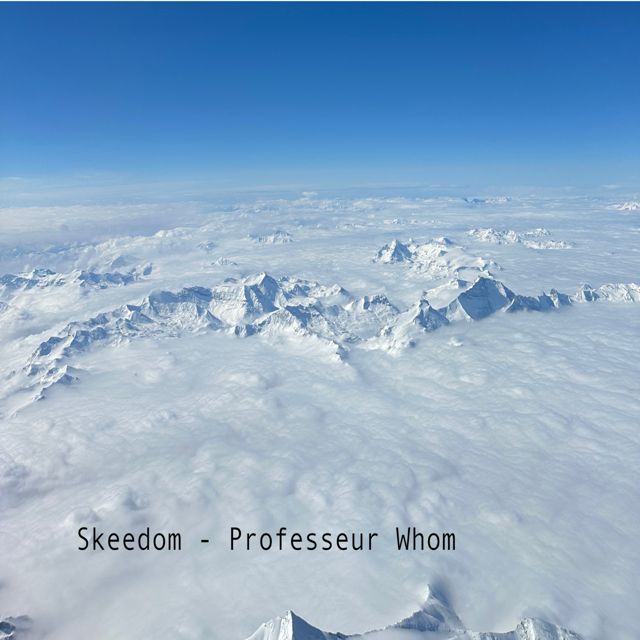 Professeur Whom - 'Skeedom' [Ringtone]