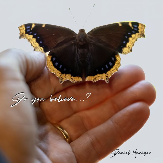 Daniel Haniger - 'Do you believe...?' [Ringtone]
