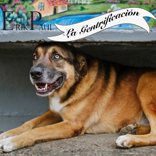 Erik Paul - 'Yo soy su amigo más fiel' [Ringtone]