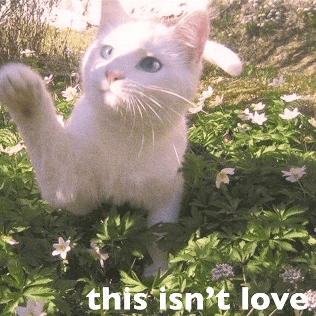 Bluu! - 'this isn’t love (feat. Gothkross) (feat. Gothkross)' [Ringtone]