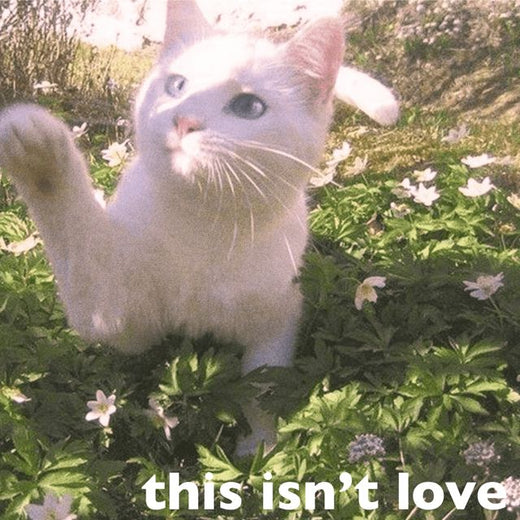 Bluu! - 'this isn’t love (feat. Gothkross)' [Ringtone]