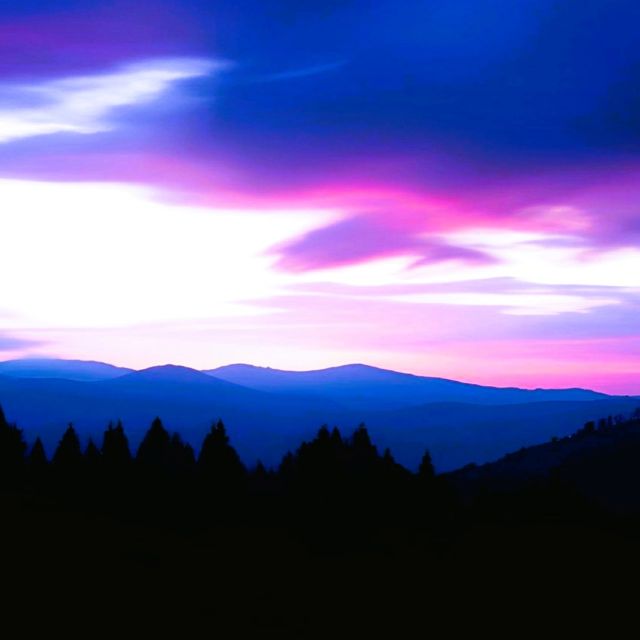 RK MUSIC - 'purple' [Ringtone]