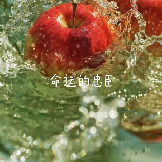 梨子芹菜 - '命运的忠臣' [Ringtone]