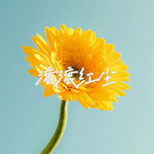 落日微笑 - '滚滚红尘' [Ringtone]