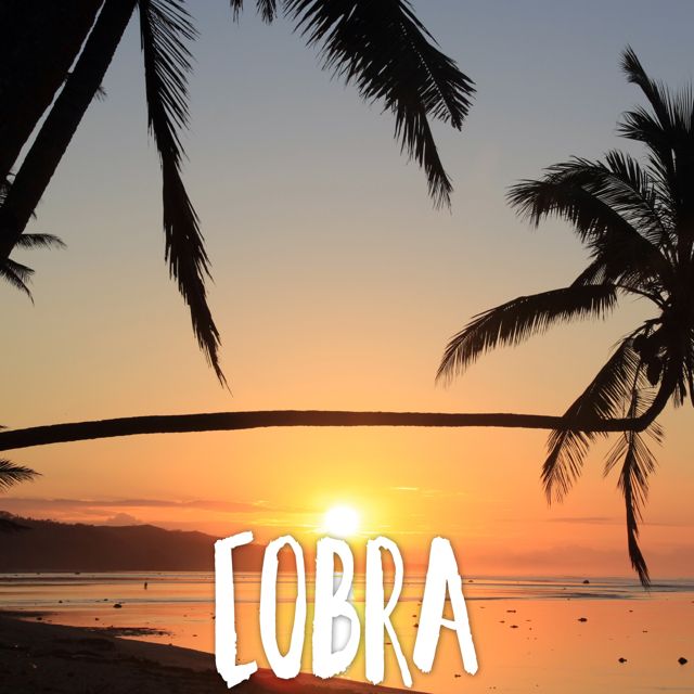 Tropical Jawns - 'Cobra (Marimba)' [Ringtone]