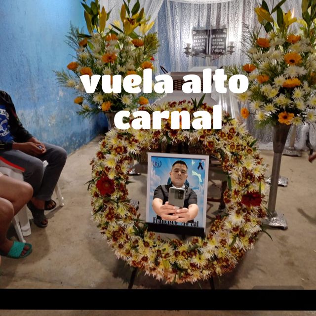 LA SANTA PUPILA OFICIAL - 'Vuela alto carnal' [Ringtone]