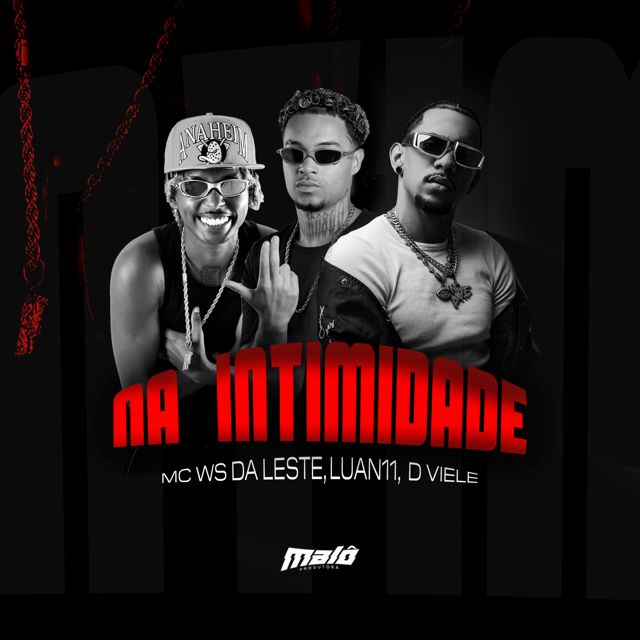 Dj Viele - 'Na Intimidade (feat. Luan11 & Mc Ws da Leste)' [Ringtone]
