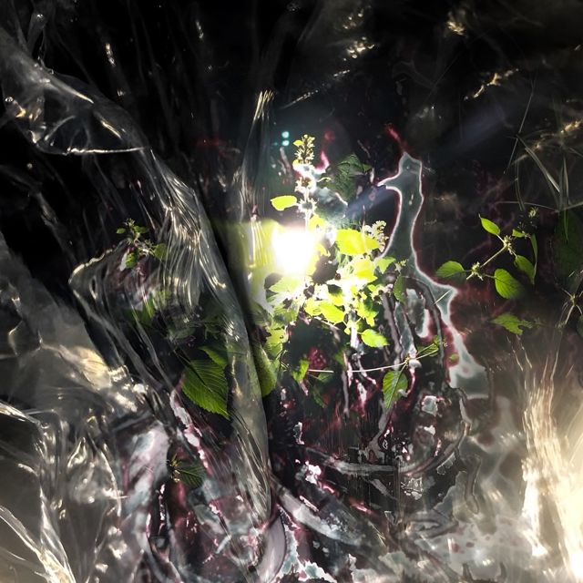 W.ANNA.W - 'Shadows Unbound' [Ringtone]