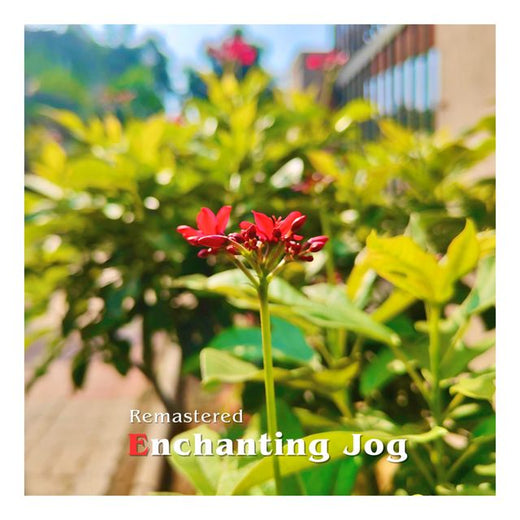 Sounds of Optimism - 'Enchanting Jog (Remastered 2026) (feat. Deepesh Sanmal)' [Ringtone]