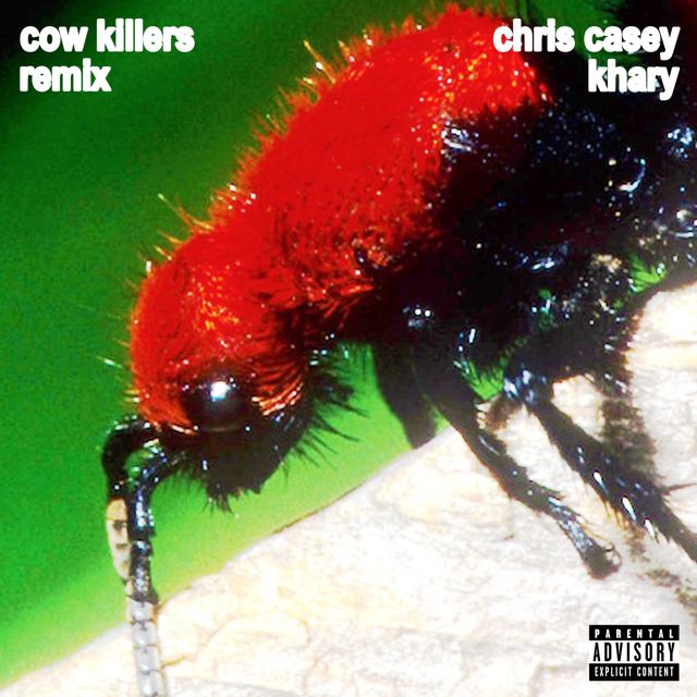Chris Casey - 'Cow Killers (REMIX) (feat. Khary)' [Ringtone]