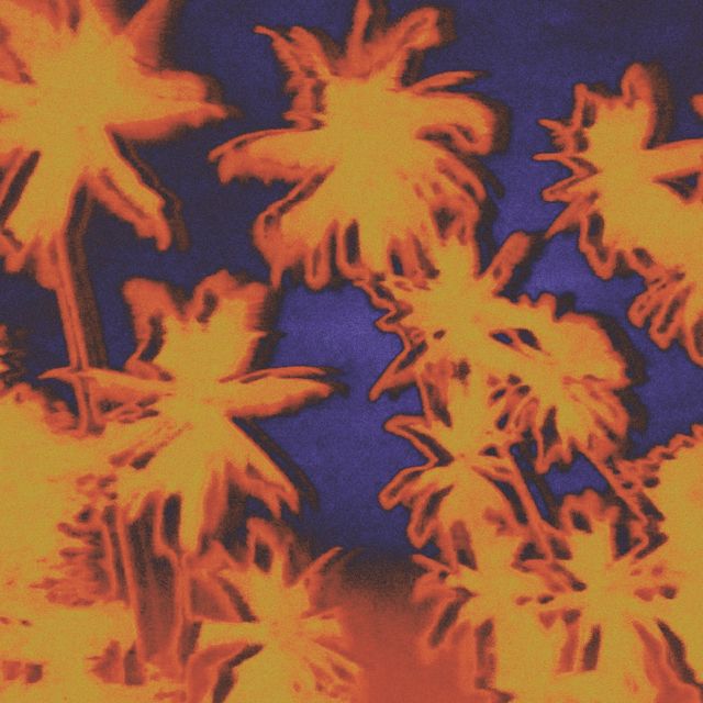 Paperwater - 'MOANA (feat. Tamae)' [Ringtone]