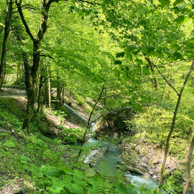Mossveil - 'Moss Along the Stream (Ambient Version)' [Ringtone]