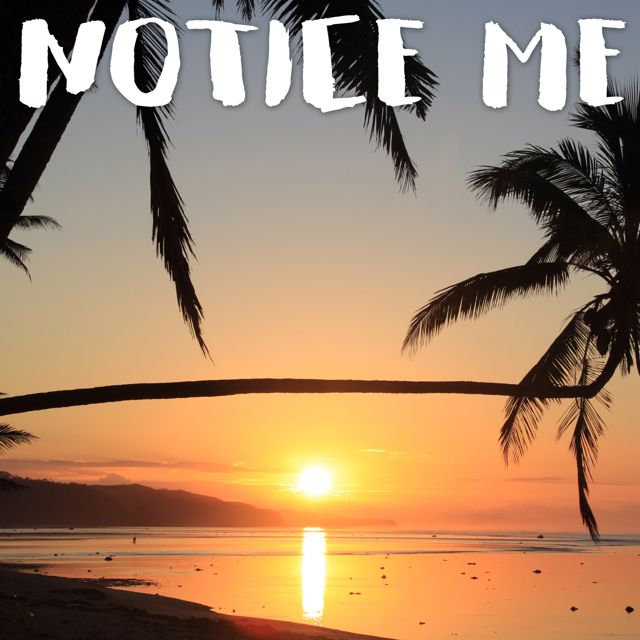 Tropical Jawns - 'Notice Me (Marimba Version)' [Ringtone]