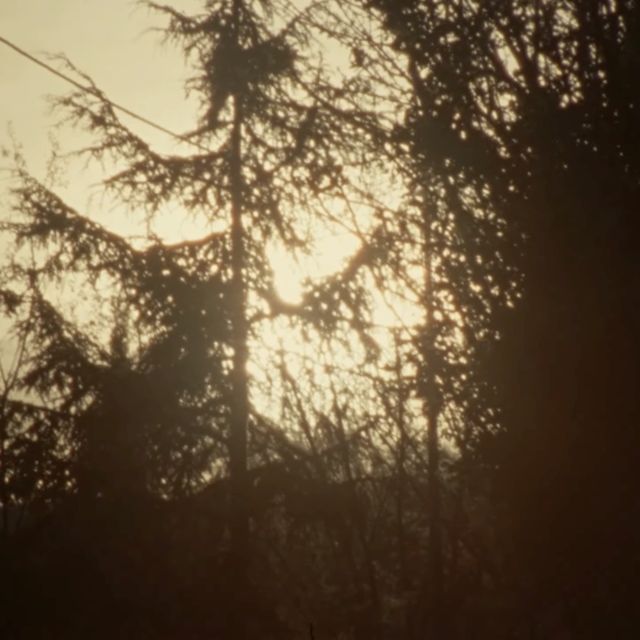 Davide Bosi - 'Pazienza' [Ringtone]