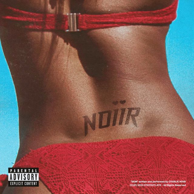 Charlie Noiir - 'SKIN' [Ringtone]