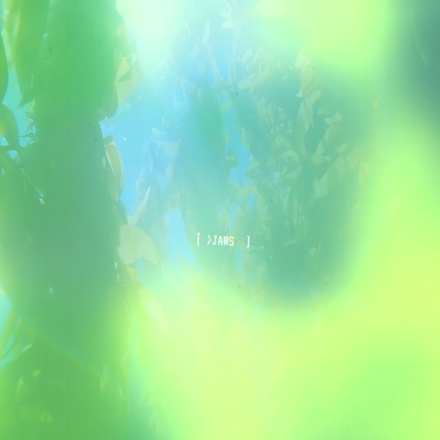 >Jaws_ - 'swim' [Ringtone]