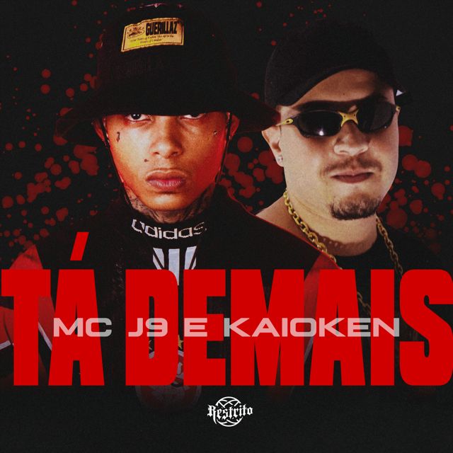 Dj Kaioken - 'TA DEMAIS (feat. Mc J9)' [Ringtone]