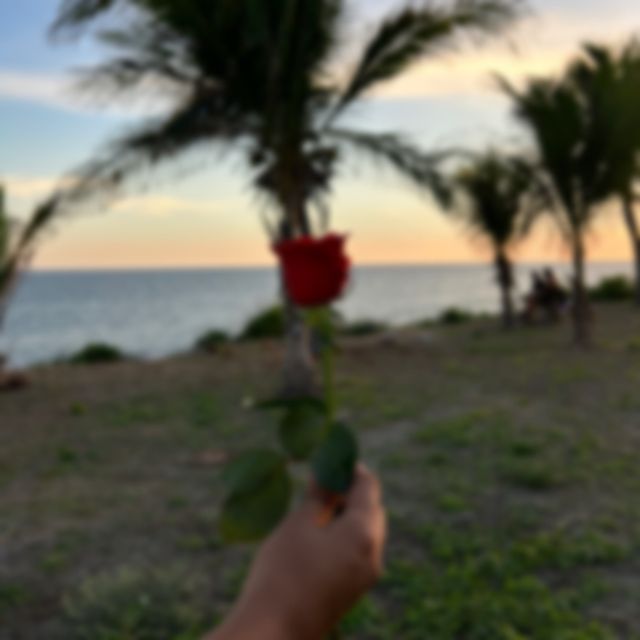 Do Cortez - 'LA FLOR' [Ringtone]