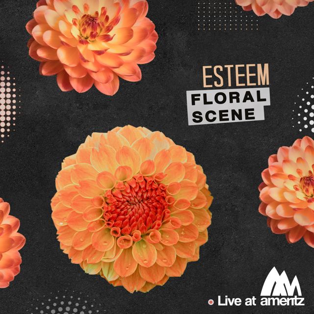 Floral Scene - 'Esteem (Live at Ameritz)' [Ringtone]