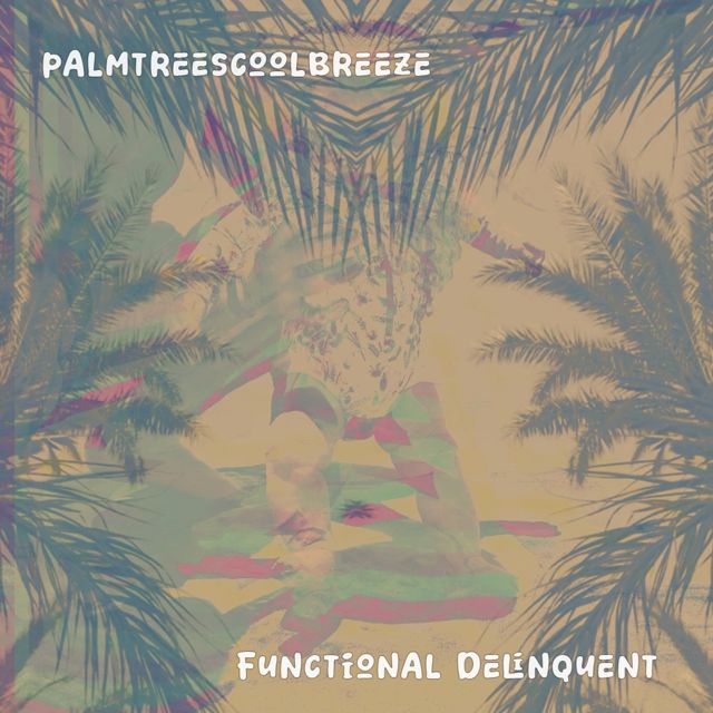 Functional Delinquent - 'PalmTreesCoolBreeze' [Ringtone]