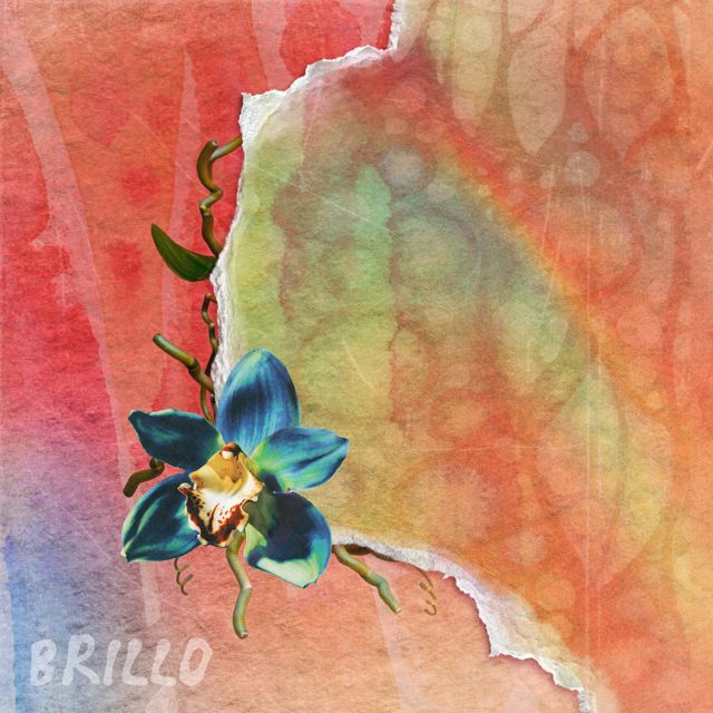 GALVANHEL - 'Brillo' [Ringtone]