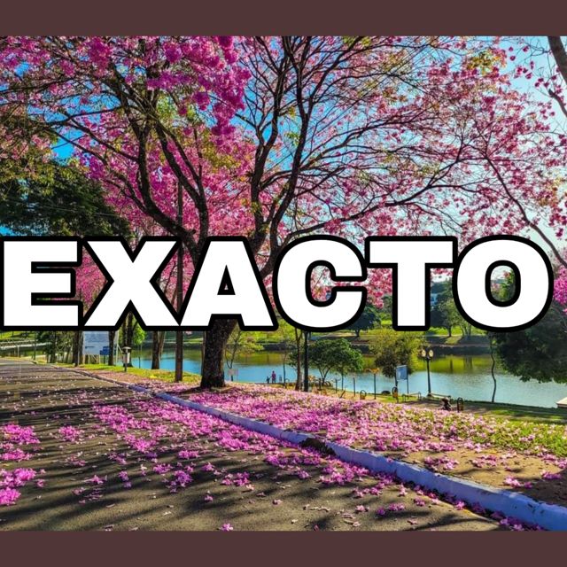 gls de la naza - 'exacto' [Ringtone]