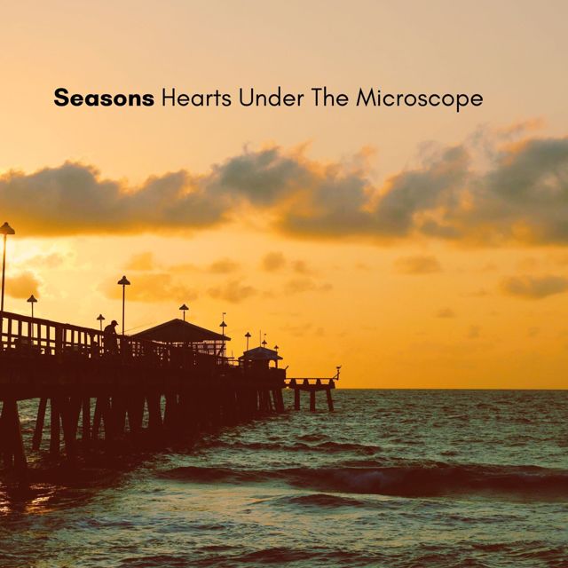 Hearts Under the Microscope - 'Wintersong' [Ringtone]