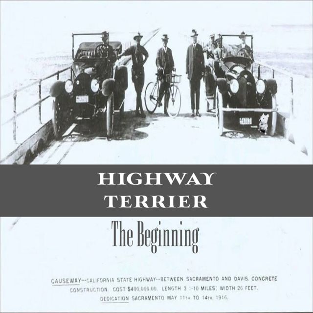 Highway Terrier - 'Walking Weapon' [Ringtone]