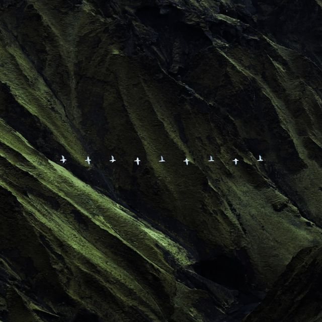 Hyarlley - 'Your Presence.' [Ringtone]